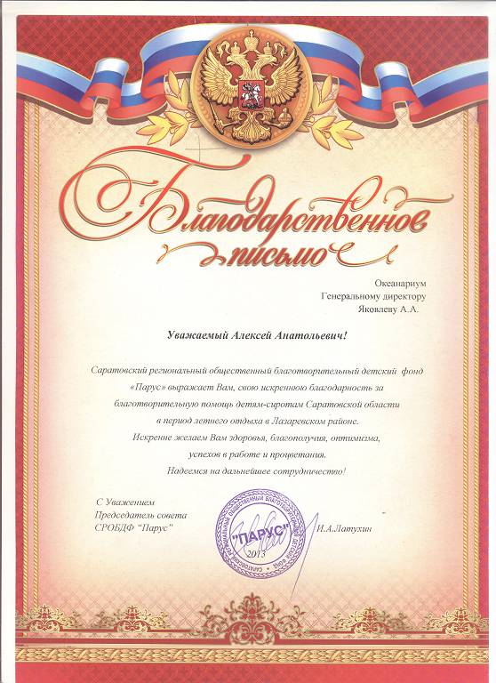 благодарность от Паруса 2013